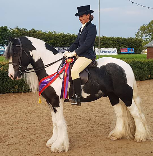 Abandoned cob turned showing star qualifies for Royal International